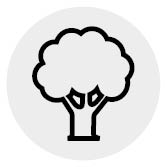 Alec 1 Ateliers Materiaux Biosources